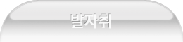 발자취