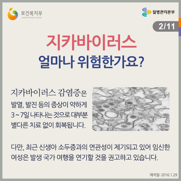 지카바이러스, 얼마나 위험한가요?
지카바이러스 감염증은 발열, 발진 등의 증상이 약하게 3~7일 나타나는 것으로대부분 별다른 치료 없이 회복됩니다.
다만, 최근 신생아 소두증과의 연관성이 제기되고 있어 임신한 여성은 발생 국가 여행을 연기할 것을 권고하고 있습니다.
