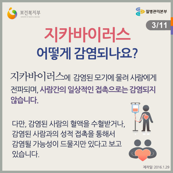지카바이러스, 어떻게 감염되나요?
지카바이러스에 감염된 모기에 물려 사람에게 전파되며, 사람간의 일상적인 접촉으로는 감염되지 않습니다.
다만, 감염된 사람의 혈액을 수혈받거나, 감염된 사람과의 성적 접촉을 통해서 감염될 가능성이 드물지만 있다고 보고 있습니다.